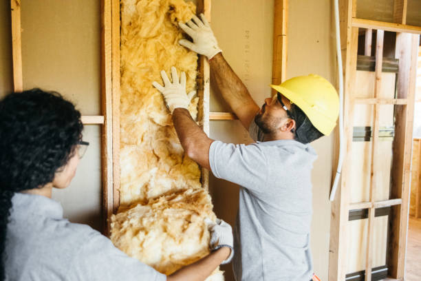 Best Insulation for New Construction  in Cornwall, PA